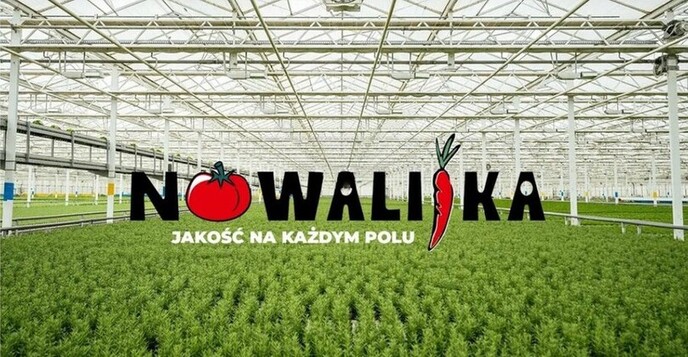 Case study_Nowalijka